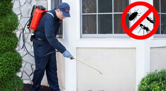 Divriği Hamam Böceği İlaçlama böcek ilaçlama ve haşere kontrolü — ilaclama-tr.com